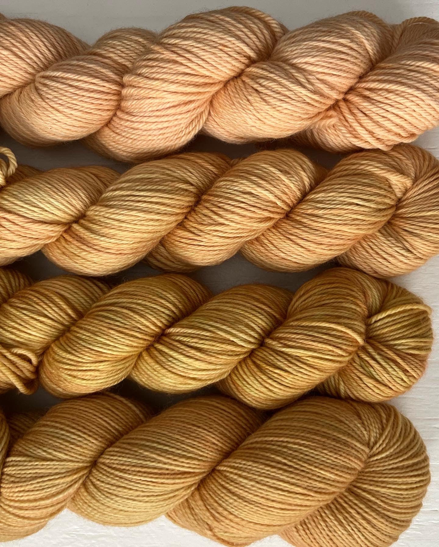 Apricot